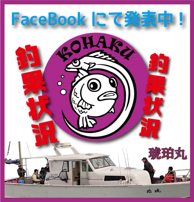 長崎遊漁船　琥珀丸
