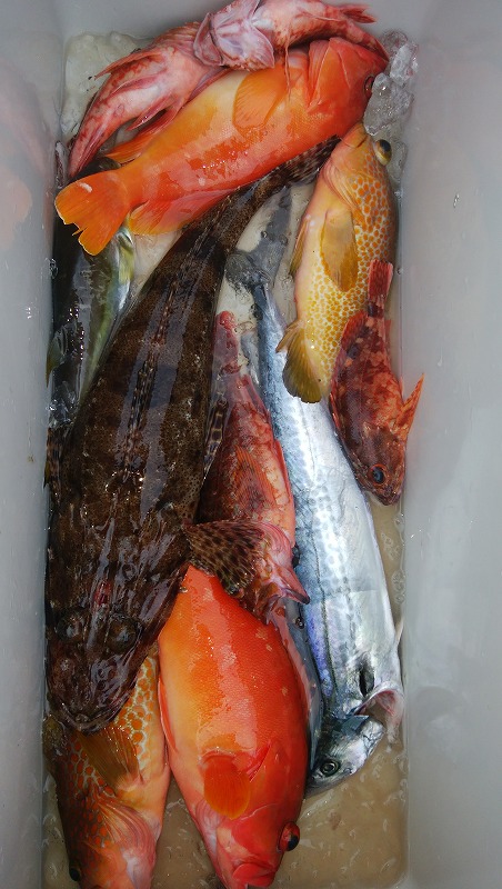 ���i�C���[�W