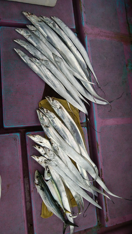 ���i�C���[�W