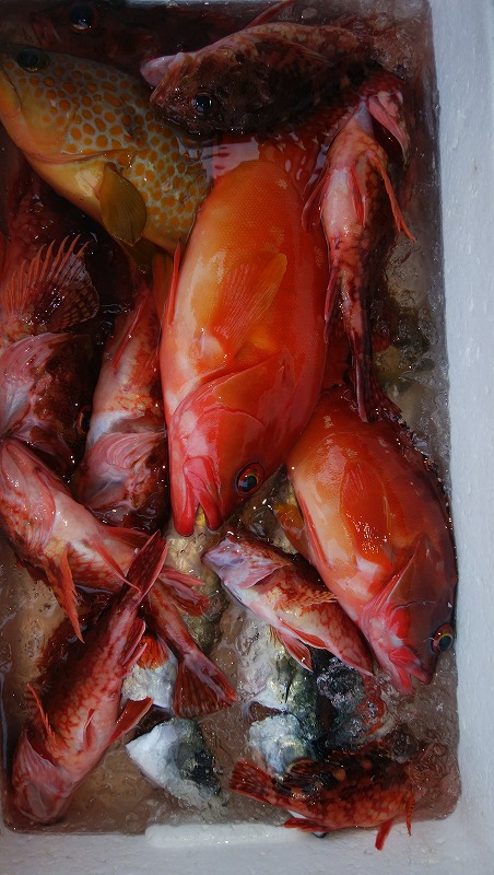 ���i�C���[�W