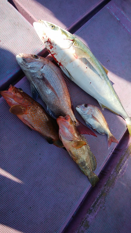 ���i�C���[�W