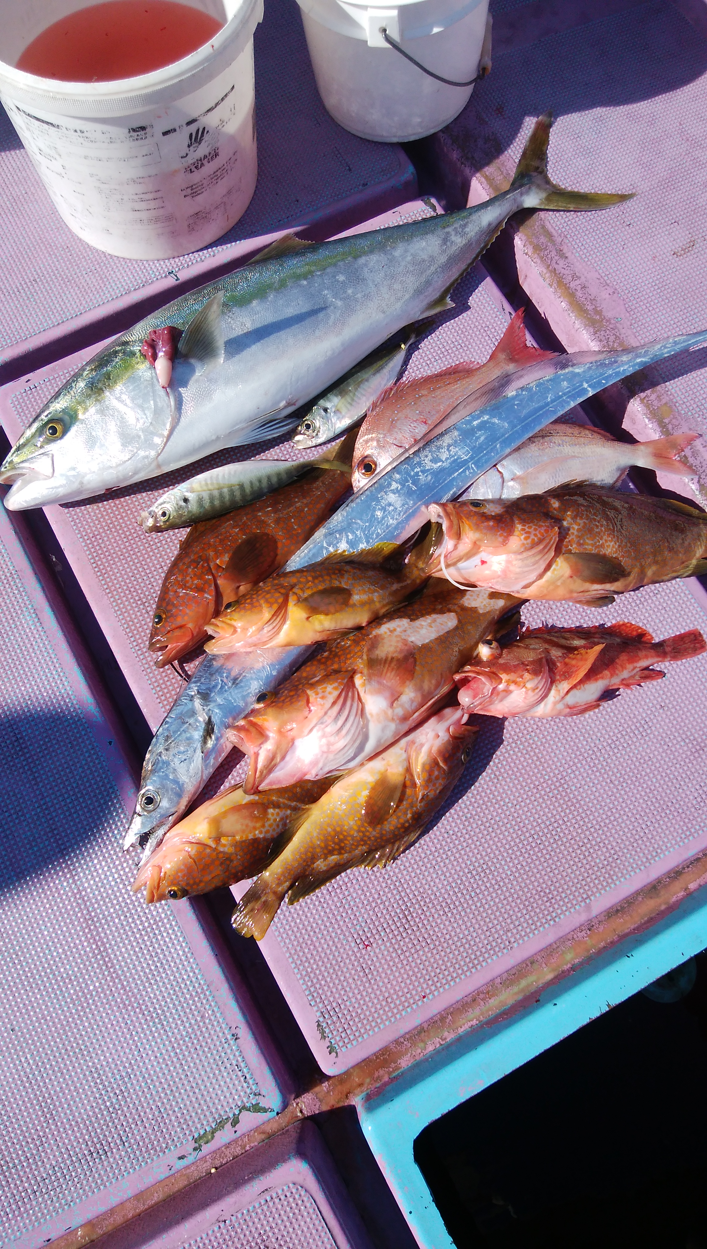 ���i�C���[�W