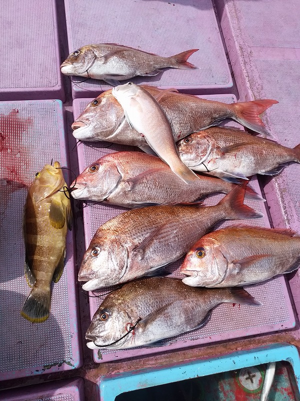 ���i�C���[�W