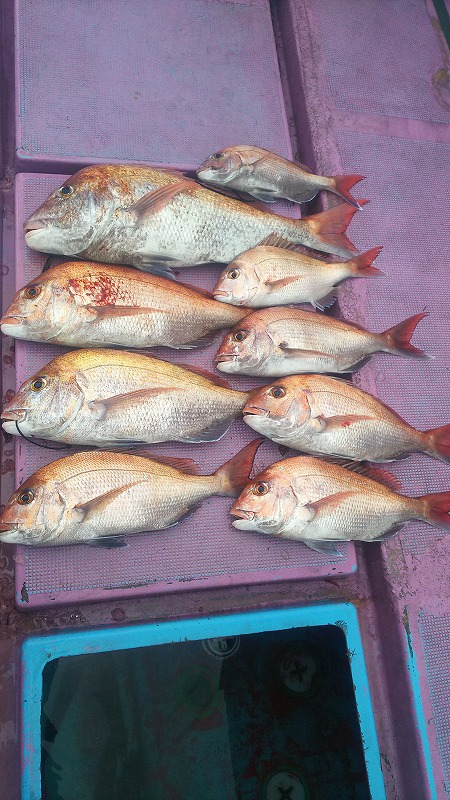 ���i�C���[�W