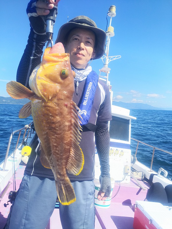 ���i�C���[�W