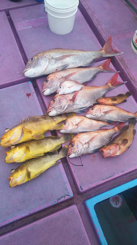 ���i�C���[�W