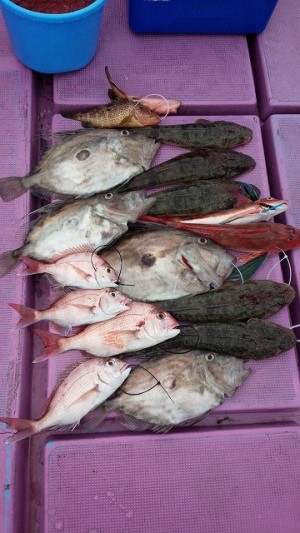 ���i�C���[�W