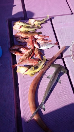 ���i�C���[�W