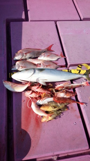 ���i�C���[�W