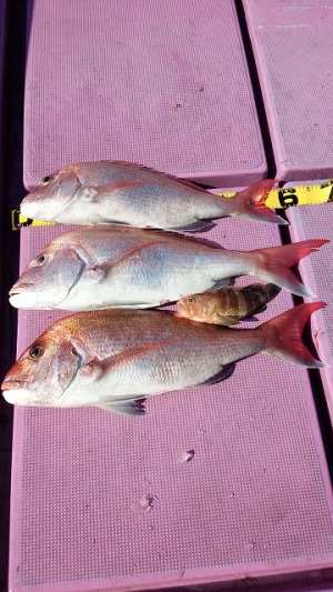 ���i�C���[�W