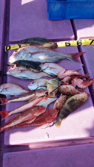 ���i�C���[�W