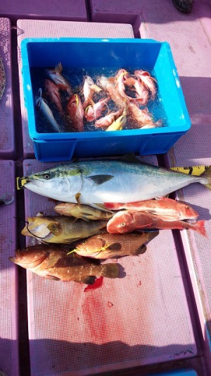 ���i�C���[�W