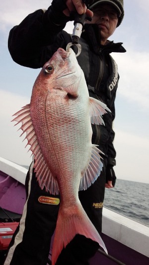 ���i�C���[�W