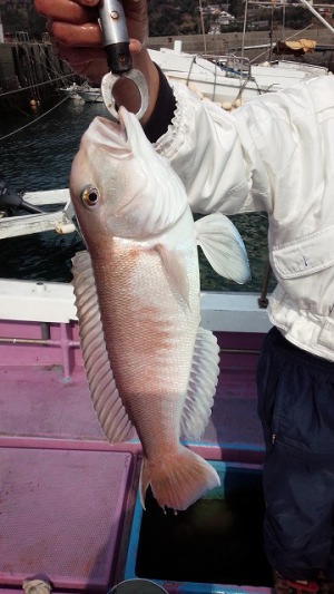 ���i�C���[�W