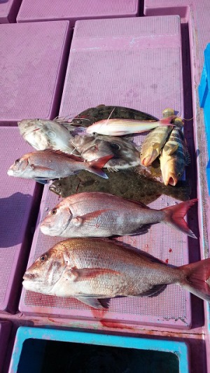 ���i�C���[�W