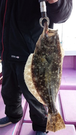 ���i�C���[�W