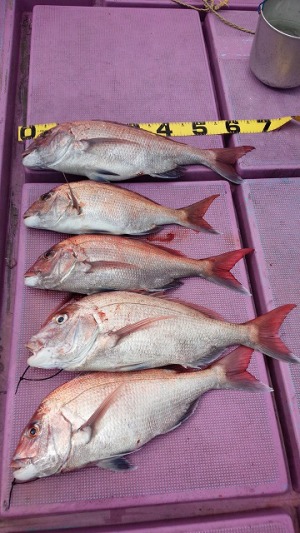 ���i�C���[�W