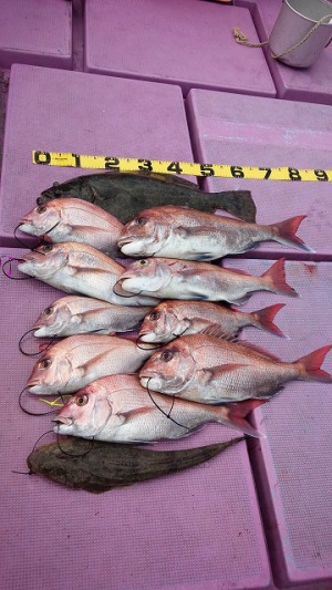 ���i�C���[�W