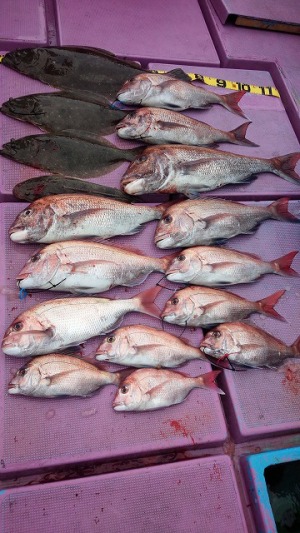 ���i�C���[�W