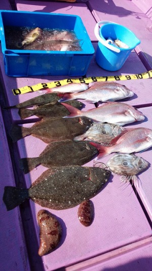 ���i�C���[�W