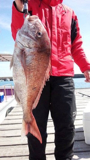 ���i�C���[�W