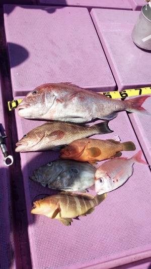 ���i�C���[�W