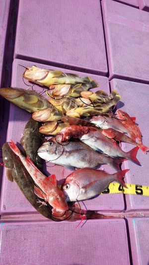 ���i�C���[�W