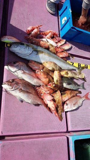 ���i�C���[�W