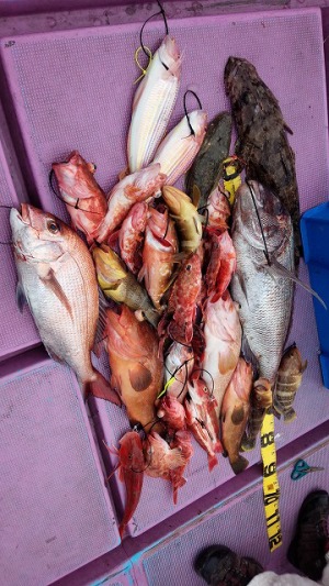 ���i�C���[�W