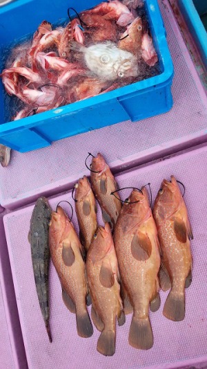 ���i�C���[�W