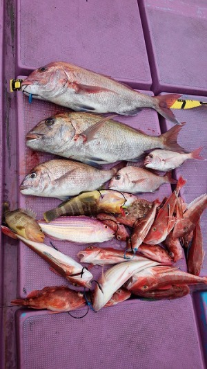 ���i�C���[�W