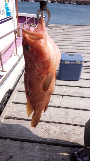 ���i�C���[�W