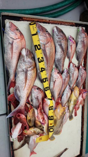 ���i�C���[�W