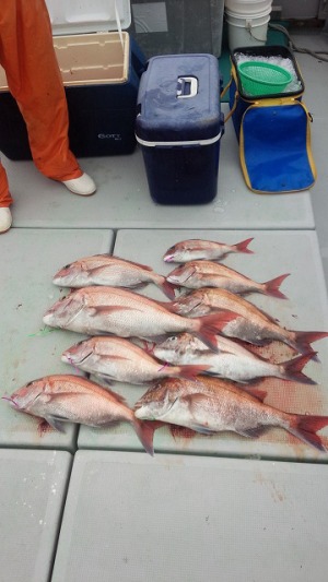 ���i�C���[�W