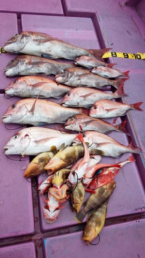 ���i�C���[�W