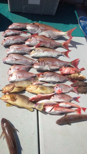 ���i�C���[�W