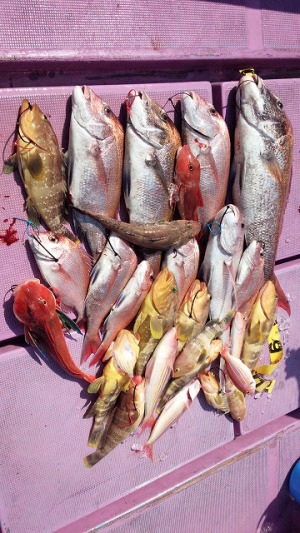 ���i�C���[�W