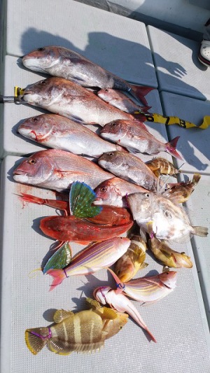 ���i�C���[�W