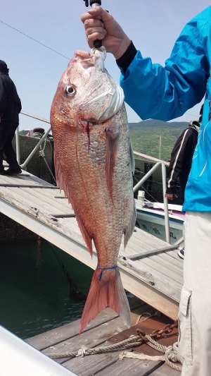 ���i�C���[�W