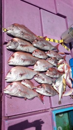 ���i�C���[�W