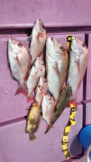 ���i�C���[�W