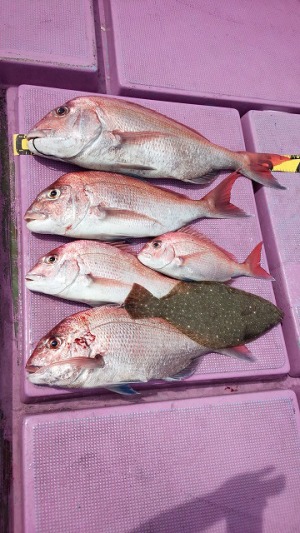 ���i�C���[�W