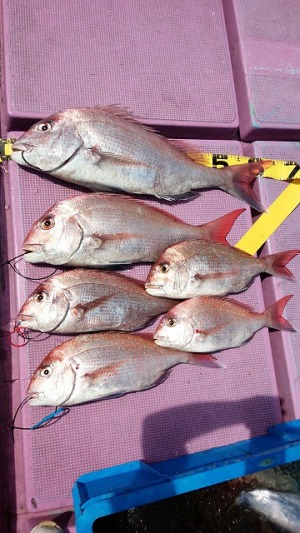 ���i�C���[�W