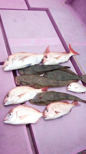 ���i�C���[�W