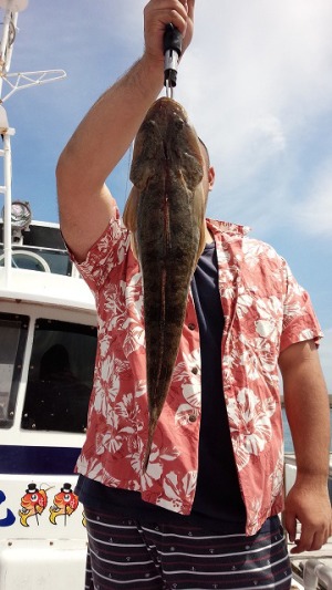 ���i�C���[�W