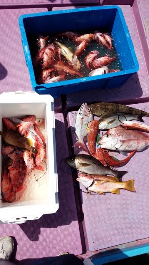 ���i�C���[�W