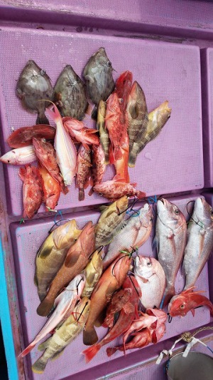 ���i�C���[�W