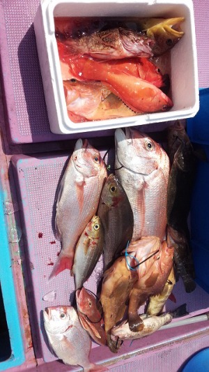 ���i�C���[�W