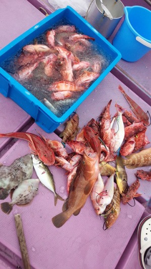 ���i�C���[�W