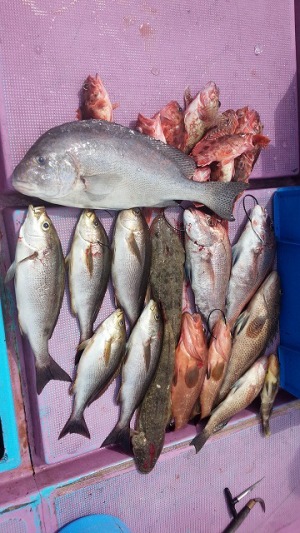 ���i�C���[�W